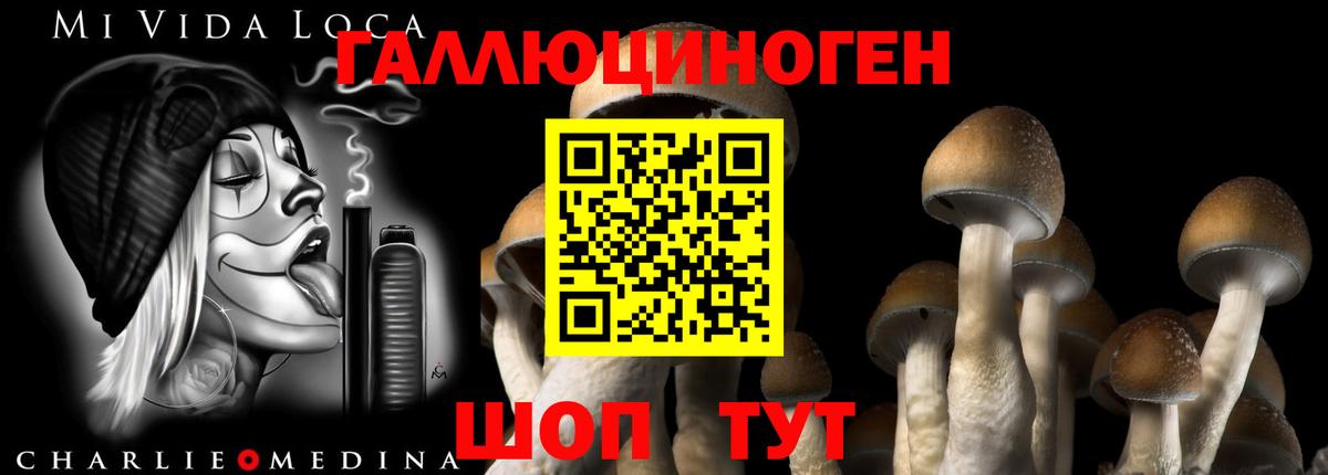 Галлюциногенные грибы Magic Shrooms Кыштым